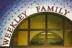 Celia Berry mosaic Weeky Family YMCA Mural